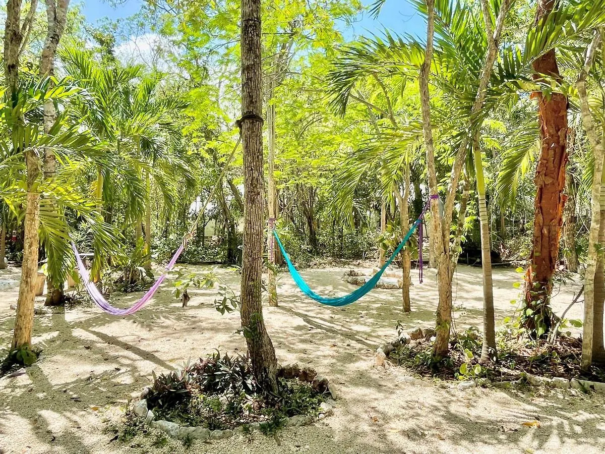 Ku Kuk Glamping Apartment Chemuyil