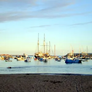 Anna Beautiful In The First Oceanline In Cristianos. Los Cristianos (Tenerife)